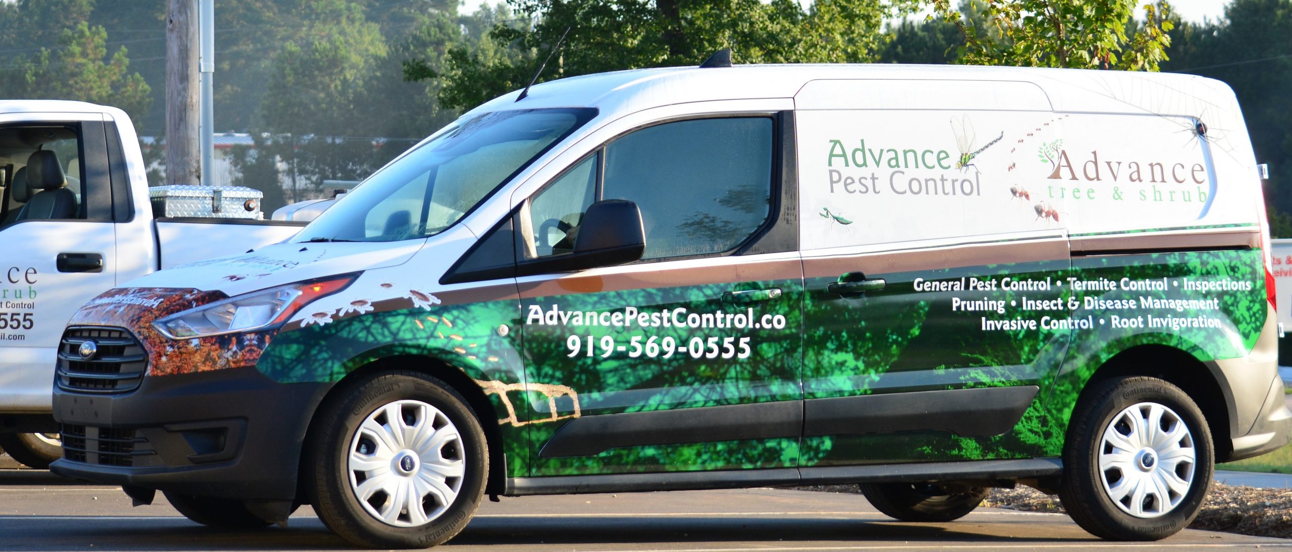 Advance Pest Control FAQs